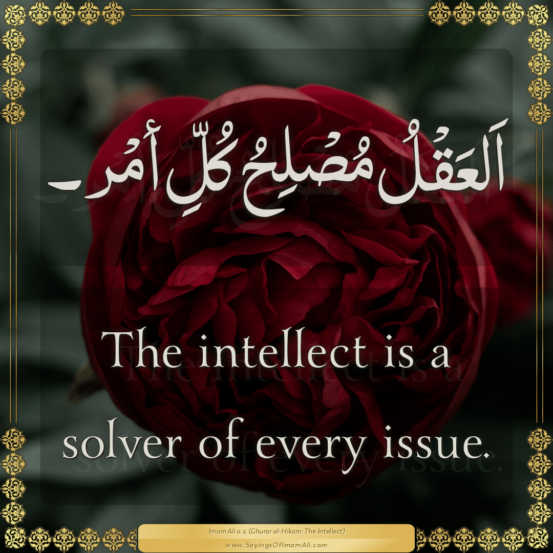The intellect is a solver of every issue.